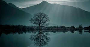 Background photo of a serene mountain landscape with a large bare tree reflected on the surface of a lake.